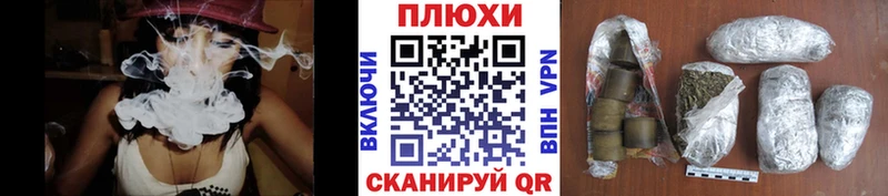 купить наркотики сайты  Петропавловск-Камчатский  ГАШ индика сатива 