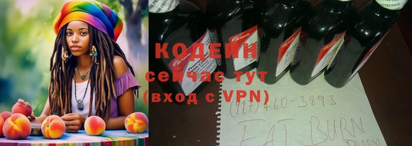 прущие грибы Бронницы