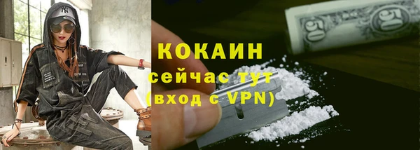МДПВ Богородицк
