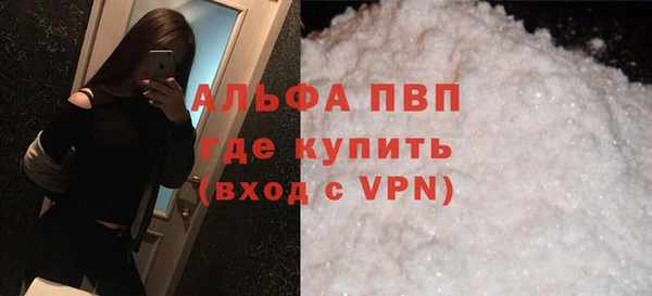 прущие грибы Бронницы