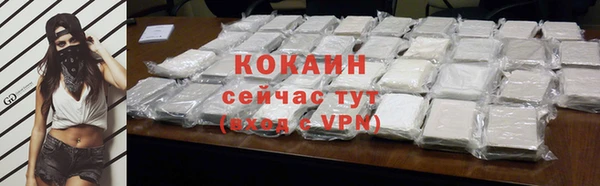 твердый Бородино