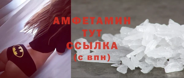 прущие грибы Бронницы