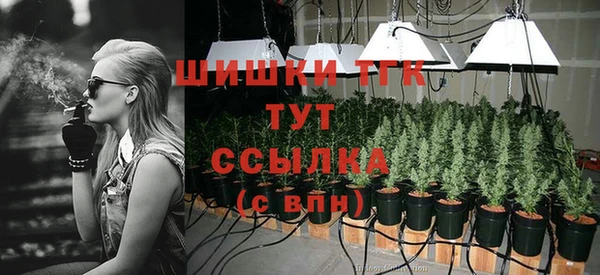 твердый Бородино