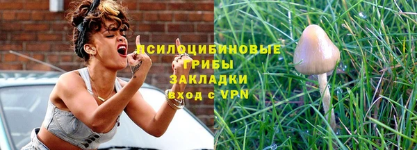 ешки Бугульма