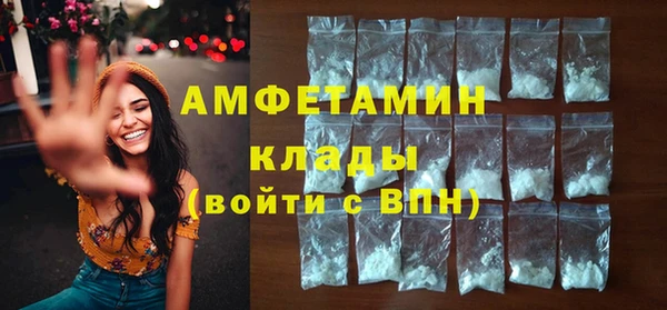 твердый Бородино