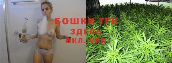 МДПВ Богородицк