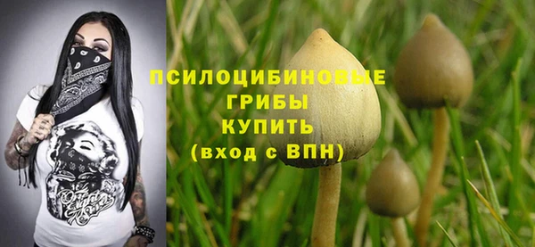 ешки Бугульма
